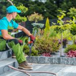 Gardener and His Garden