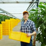 Market gardening