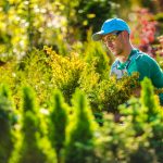 Pro Gardener in the Garden
