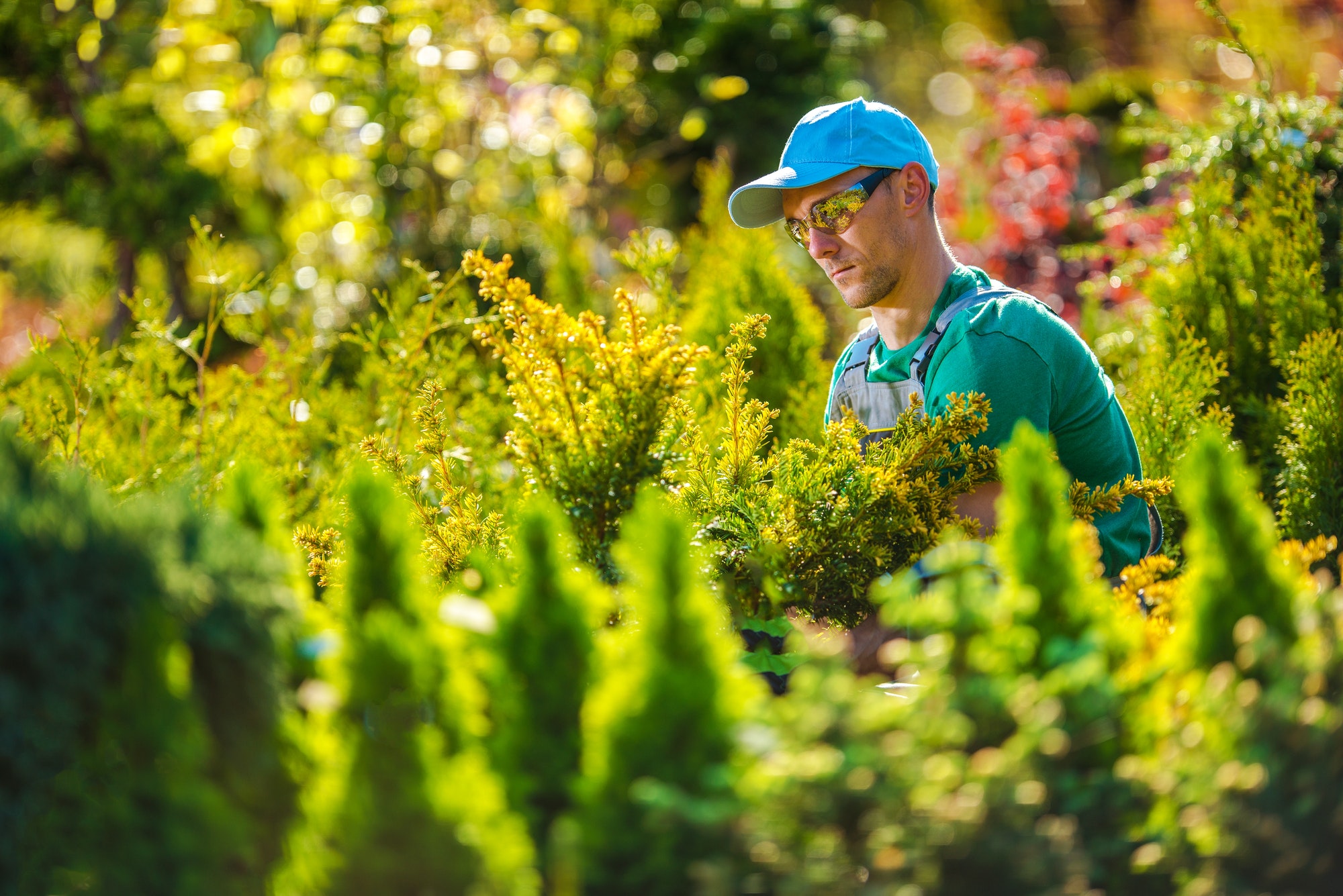 Pro Gardener in the Garden