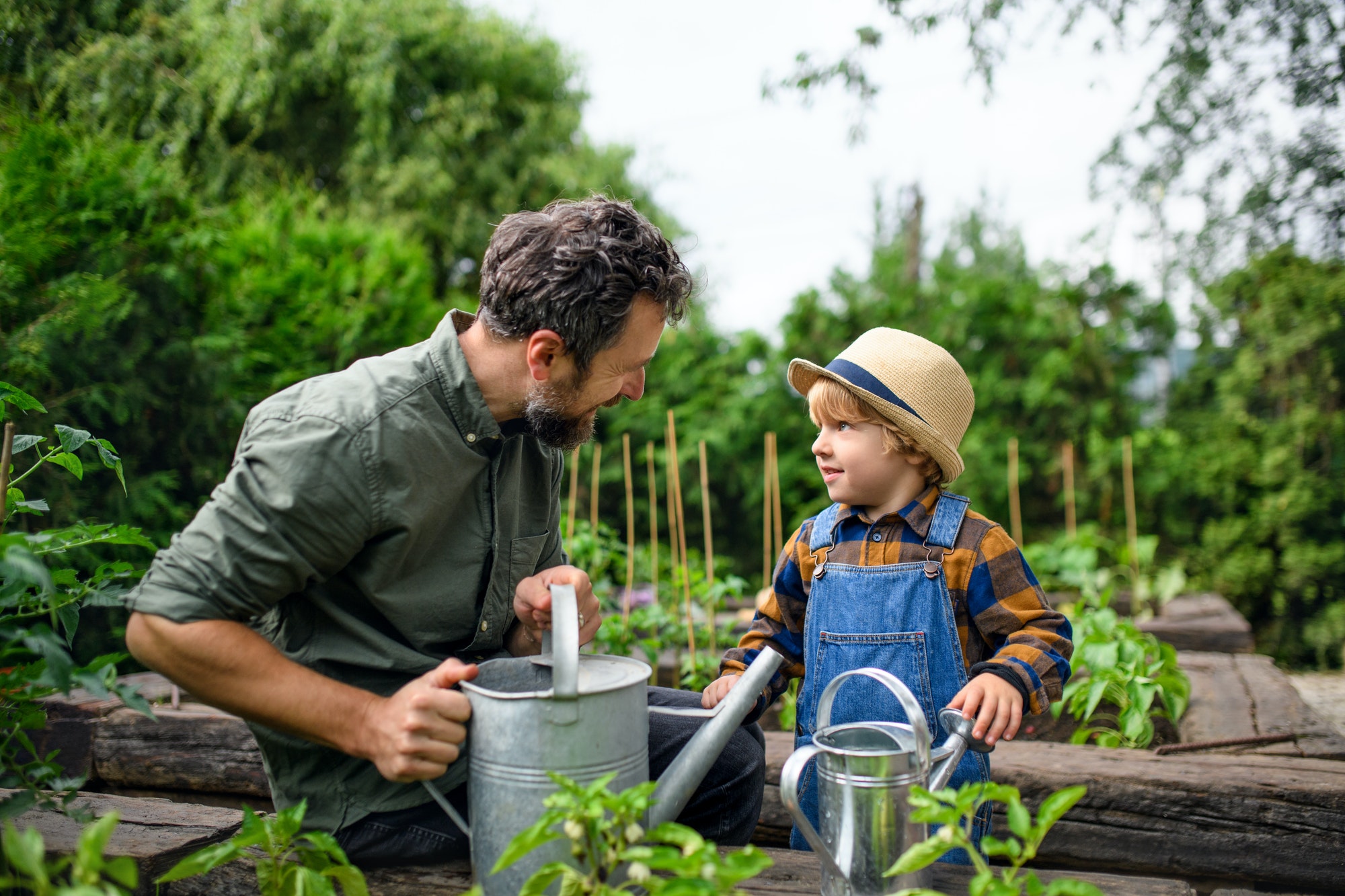Small boy with father gardening on farm, growing organic vegetables