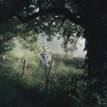 The garden